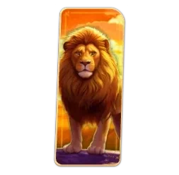 Lion
Safari